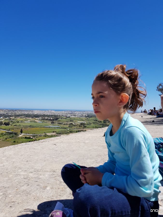 Mdina Walls